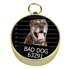 Bad Dog Gold Compasses by Valentinaart