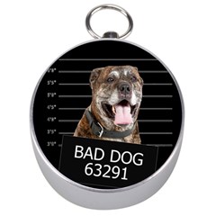 Bad Dog Silver Compasses by Valentinaart