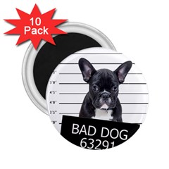 Bad dog 2.25  Magnets (10 pack) 