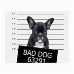 Bad dog Small Glasses Cloth (2-Side) Back