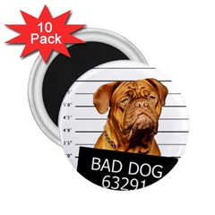 Bad Dog 2 25  Magnets (10 Pack)  by Valentinaart