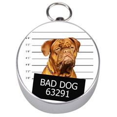 Bad Dog Silver Compasses by Valentinaart