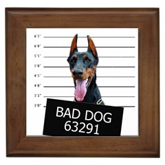 Bad dog Framed Tiles