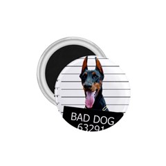 Bad dog 1.75  Magnets