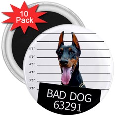 Bad dog 3  Magnets (10 pack) 