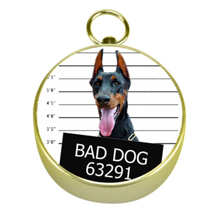 Bad dog Gold Compasses