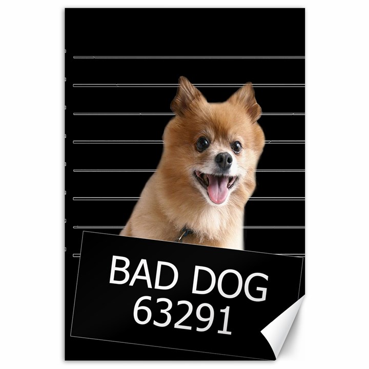 Bad dog Canvas 12  x 18  