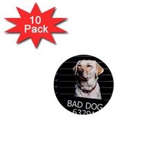 Bad Dog 1  Mini Magnet (10 Pack)  by Valentinaart