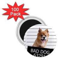 Bad Dog 1 75  Magnets (100 Pack)  by Valentinaart