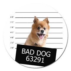 Bad Dog Magnet 5  (round) by Valentinaart