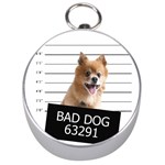 Bad dog Silver Compasses Front