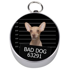 Bad Dog Silver Compasses by Valentinaart