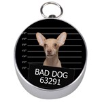 Bad dog Silver Compasses Front