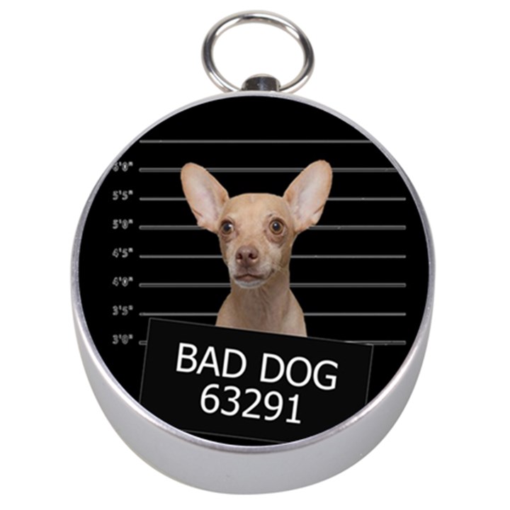 Bad dog Silver Compasses