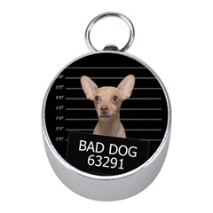 Bad Dog Mini Silver Compasses by Valentinaart