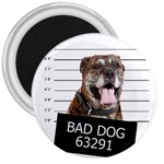 Bad dog 3  Magnets Front