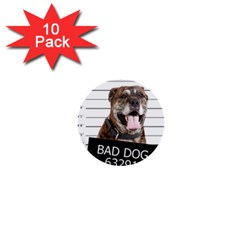 Bad Dog 1  Mini Buttons (10 Pack)  by Valentinaart