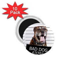 Bad Dog 1 75  Magnets (10 Pack)  by Valentinaart