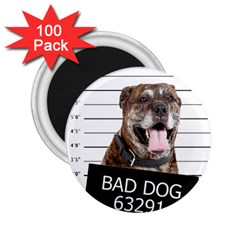 Bad Dog 2 25  Magnets (100 Pack)  by Valentinaart