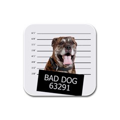 Bad Dog Rubber Square Coaster (4 Pack)  by Valentinaart