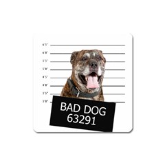 Bad Dog Square Magnet by Valentinaart