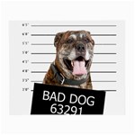 Bad dog Small Glasses Cloth (2-Side) Front