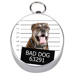 Bad Dog Silver Compasses by Valentinaart