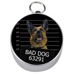 Bad Dog Silver Compasses by Valentinaart