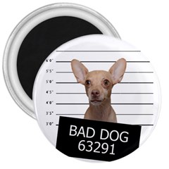 Bad Dog 3  Magnets by Valentinaart