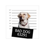 Bad dog Small Satin Scarf (Square) Front