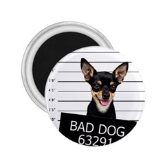 Bad Dog 2 25  Magnets by Valentinaart