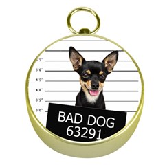 Bad Dog Gold Compasses by Valentinaart