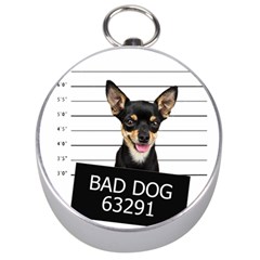 Bad Dog Silver Compasses by Valentinaart