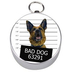 Bad Dog Silver Compasses by Valentinaart