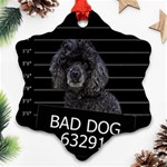 Bad dog Ornament (Snowflake) Front