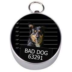 Bad Dog Silver Compasses by Valentinaart