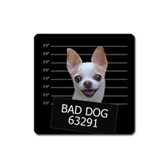 Bad Dog Square Magnet