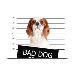 Bad Dog Plate Mats by Valentinaart