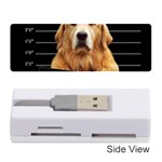 Bad dog Memory Card Reader (Stick)  Front