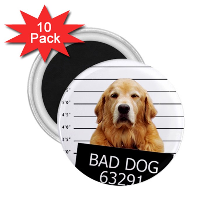 Bad dog 2.25  Magnets (10 pack) 