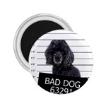 Bad dog 2.25  Magnets Front