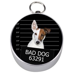 Bad Dog Silver Compasses by Valentinaart