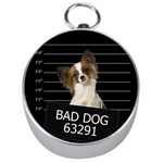 Bad dog Silver Compasses Front