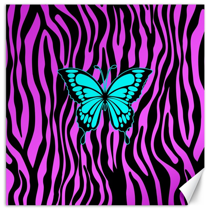 Zebra Stripes Black Pink   Butterfly Turquoise Canvas 12  x 12  