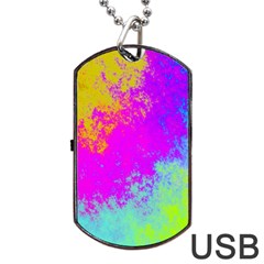 Grunge Radial Gradients Red Yellow Pink Cyan Green Dog Tag Usb Flash (two Sides) by EDDArt