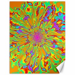 Magic Ripples Flower Power Mandala Neon Colored Canvas 12  X 16   by EDDArt