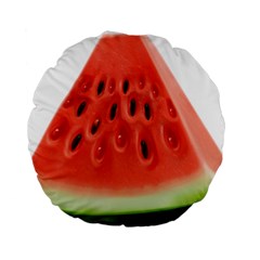 Piece Of Watermelon Standard 15  Premium Flano Round Cushions