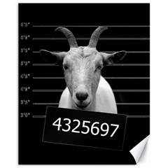 Criminal Goat  Canvas 11  X 14   by Valentinaart