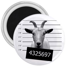 Criminal Goat  3  Magnets by Valentinaart