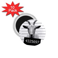 Criminal Goat  1 75  Magnets (10 Pack)  by Valentinaart